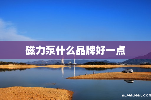 磁力泵什么品牌好一点 磁力泵什么品牌好一点