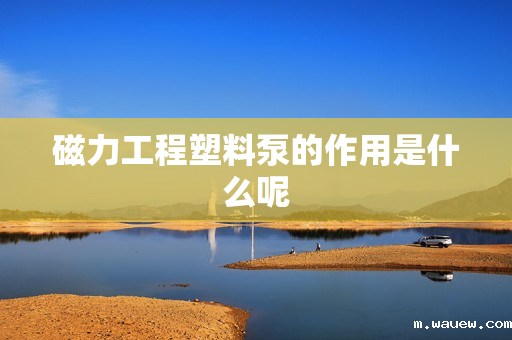 磁力工程塑料泵的作用是什么呢 磁力工程塑料泵的作用是什么呢