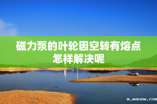 磁力泵的叶轮因空转有熔点怎样解决呢 磁力泵的叶轮因空转有熔点怎样解决呢