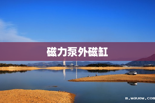 磁力泵外磁缸 磁力泵外磁缸