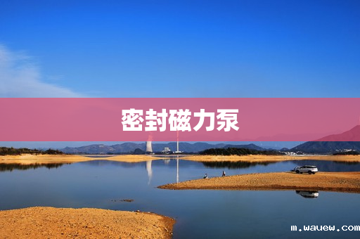 密封磁力泵 密封磁力泵