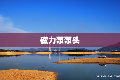 磁力泵泵头 磁力泵泵头