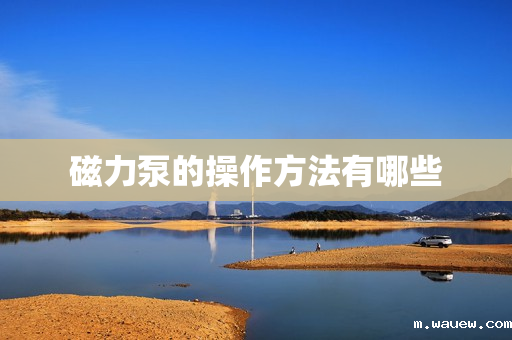 磁力泵的操作方法有哪些 磁力泵的操作方法有哪些