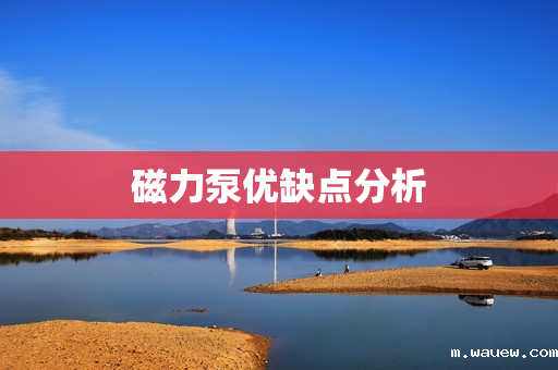 磁力泵优缺点分析 磁力泵优缺点分析