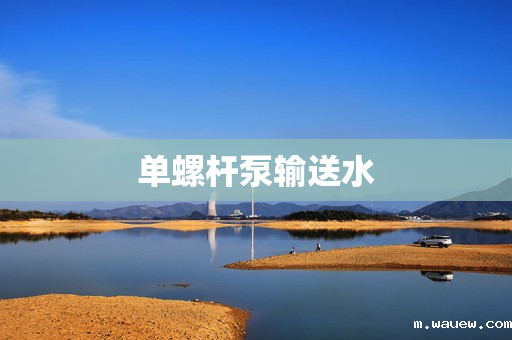 单螺杆泵输送水 单螺杆泵输送水