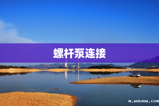 螺杆泵连接 螺杆泵连接