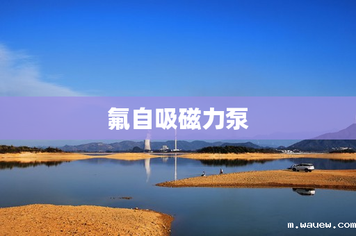 氟自吸磁力泵 氟自吸磁力泵