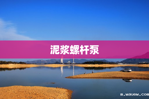 泥浆螺杆泵 泥浆螺杆泵