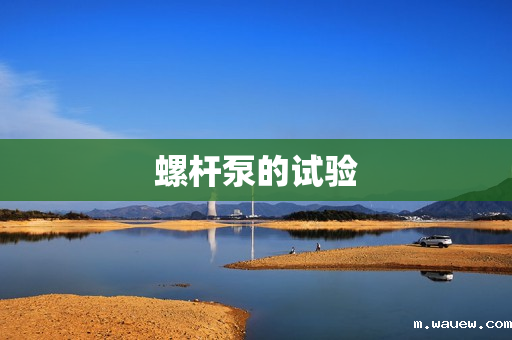 螺杆泵的试验 螺杆泵的试验