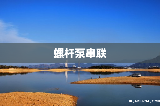 螺杆泵串联 螺杆泵串联