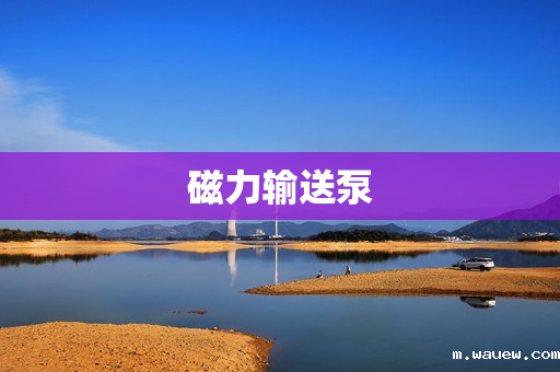 磁力输送泵 磁力输送泵