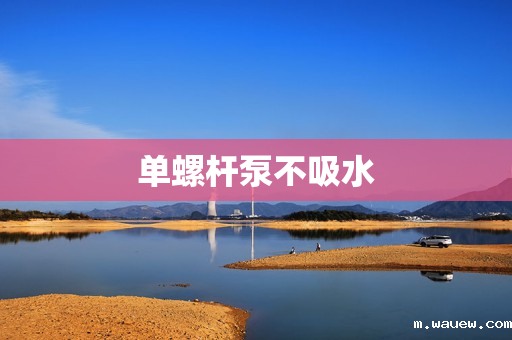 单螺杆泵不吸水 单螺杆泵不吸水