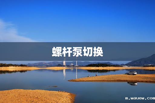 螺杆泵切换 螺杆泵切换