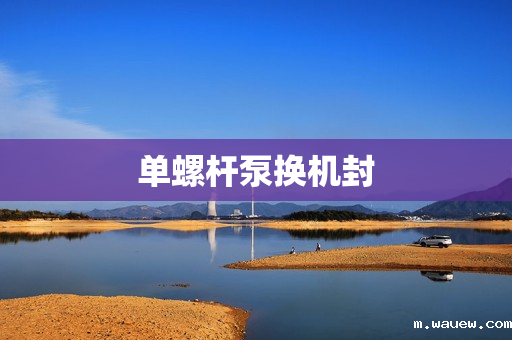 单螺杆泵换机封 单螺杆泵换机封