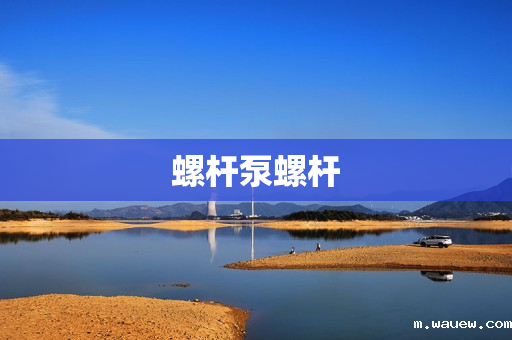 螺杆泵螺杆 螺杆泵螺杆