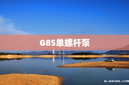 G85单螺杆泵 G85单螺杆泵