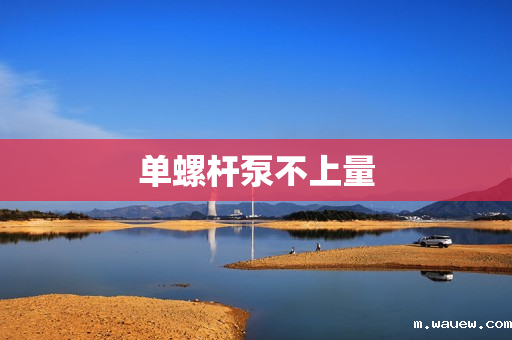 单螺杆泵不上量 单螺杆泵不上量