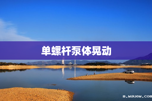 单螺杆泵体晃动 单螺杆泵体晃动