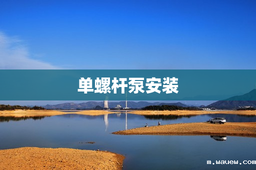单螺杆泵安装 单螺杆泵安装