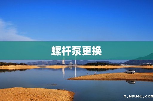 螺杆泵更换 螺杆泵更换