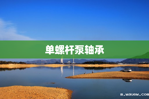 单螺杆泵轴承 单螺杆泵轴承