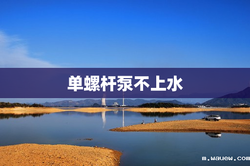 单螺杆泵不上水 单螺杆泵不上水