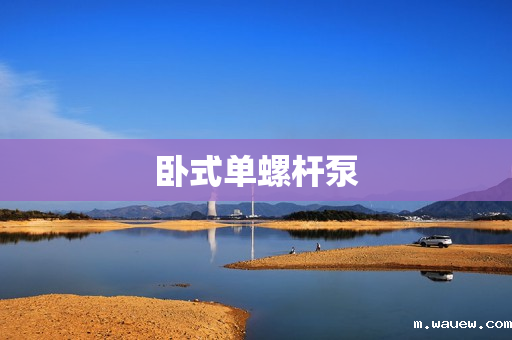 卧式单螺杆泵 卧式单螺杆泵