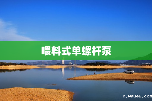 喂料式单螺杆泵 喂料式单螺杆泵