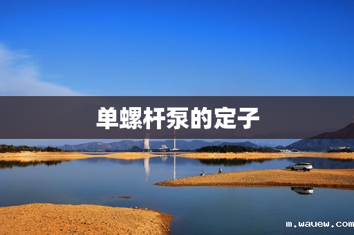 单螺杆泵的定子 单螺杆泵的定子