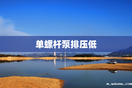 单螺杆泵排压低 单螺杆泵排压低