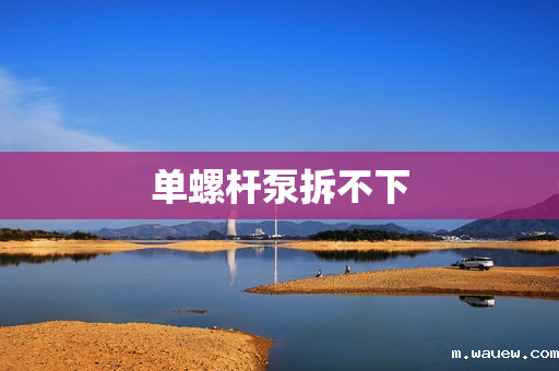 单螺杆泵拆不下 单螺杆泵拆不下