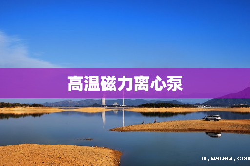 高温磁力离心泵 高温磁力离心泵