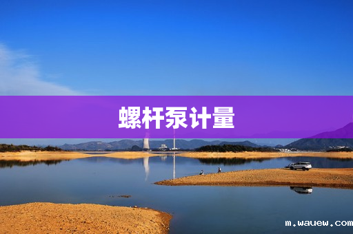 螺杆泵计量 螺杆泵计量