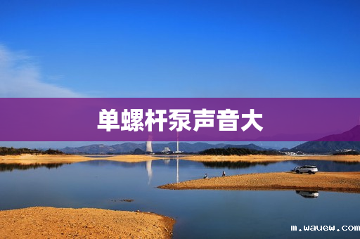 单螺杆泵声音大 单螺杆泵声音大