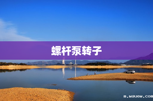 螺杆泵转子 螺杆泵转子