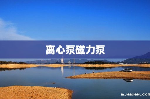 离心泵磁力泵 离心泵磁力泵