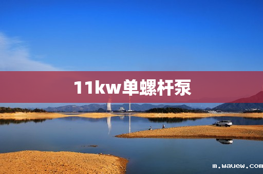 11kw单螺杆泵 11kw单螺杆泵