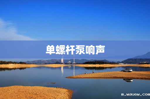 单螺杆泵响声 单螺杆泵响声