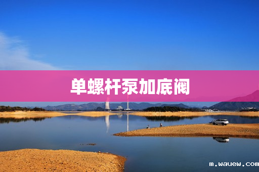 单螺杆泵加底阀 单螺杆泵加底阀