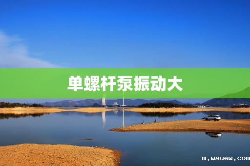 单螺杆泵振动大 单螺杆泵振动大