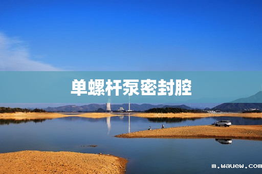 单螺杆泵密封腔 单螺杆泵密封腔