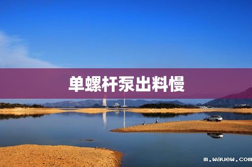 单螺杆泵出料慢 单螺杆泵出料慢