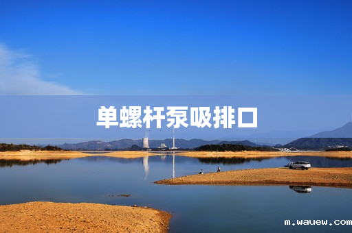 单螺杆泵吸排口 单螺杆泵吸排口