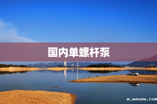 国内单螺杆泵 国内单螺杆泵