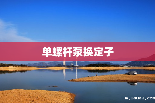 单螺杆泵换定子 单螺杆泵换定子