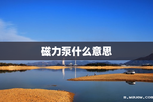 磁力泵什么意思 磁力泵什么意思