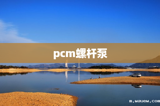 pcm螺杆泵 pcm螺杆泵