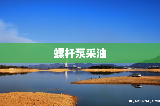 螺杆泵采油 螺杆泵采油