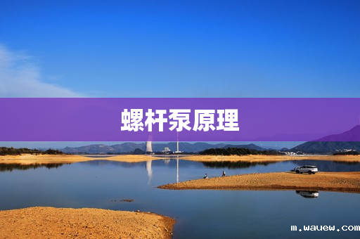 螺杆泵原理 螺杆泵原理