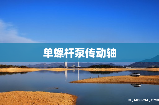 单螺杆泵传动轴 单螺杆泵传动轴